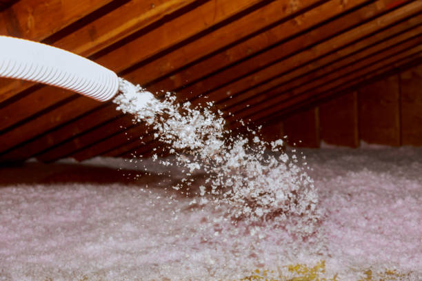 Best Cellulose Insulation  in Great Notch, NJ