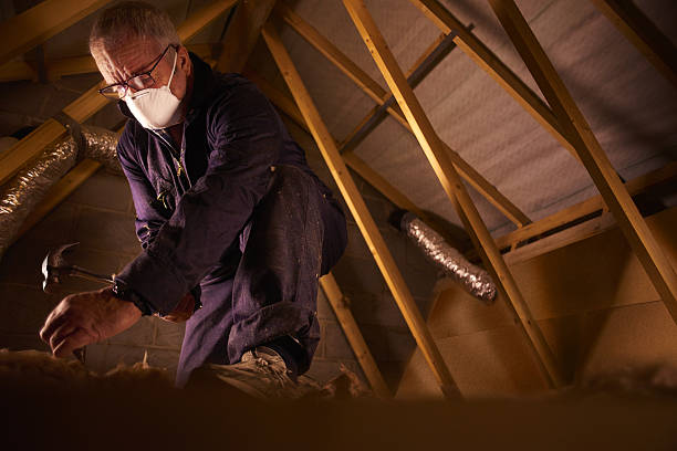 Best Crawl Space Insulation  in Great Notch, NJ