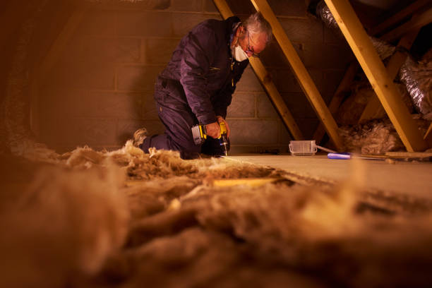 Best Home Insulation Services  in Great Notch, NJ